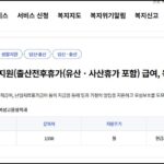 출산전후휴가, 유산휴가, 사산휴가, 출산휴가급여, 신청방법, 지원금액, 출산휴가기간, 고용보험