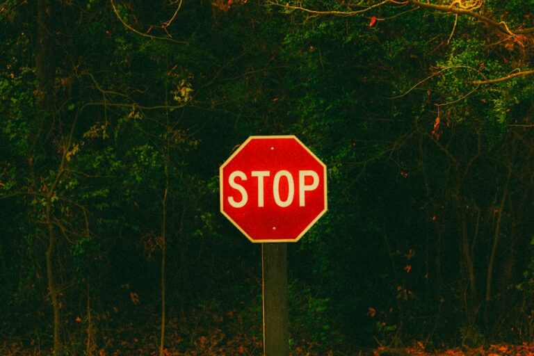 A bright red stop sign stands prominently against a lush forest backdrop.