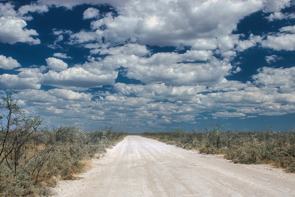 A wide dirt road stretches into the distance in Namibia, under a dramatic cloudy sky.