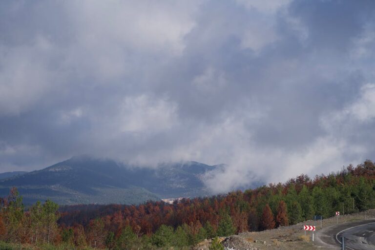 Dramatic mountain view with clouds and lush forest in foreground.