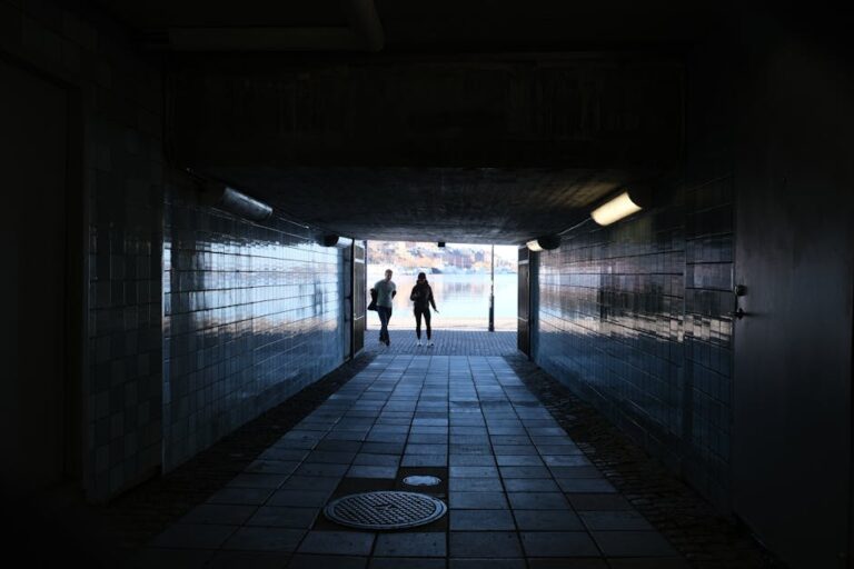 Two people walking towards a bright outdoor scene from a dark tunnel.
