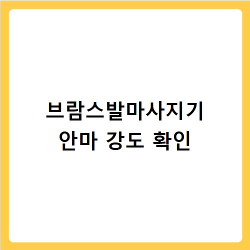 브람스발마사지기 피로 회복 성능 사용 후기