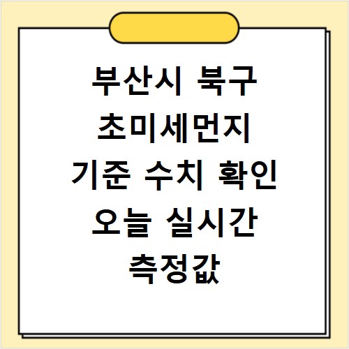 부산시 북구 초미세먼지 기준 수치 확인 오늘 실시간 측정값 확인하기