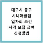 대구시 동구 시니어클럽 일자리 조건 자격 모집 급여 신청방법