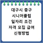 대구시 중구 시니어클럽 일자리 조건 자격 모집 급여 신청방법
