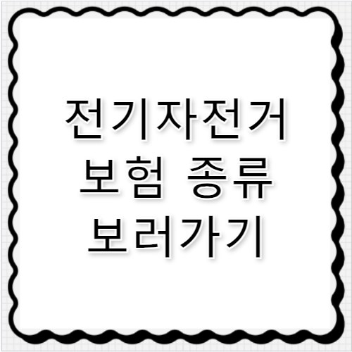 전기자전거 보험 전동자건거 보험 종류 가격 추천