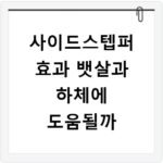 사이드스텝퍼 효과 뱃살과 하체에 도움될까