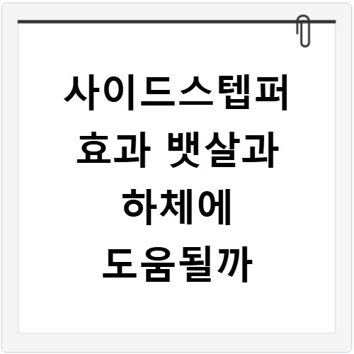 사이드스텝퍼 효과 뱃살과 하체에 도움될까