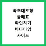 속초대포항 물때표 확인하기 바다타임 사이트 바로가기