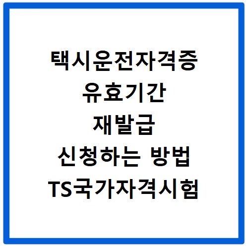 택시운전자격증 유효기간 재발급 신청하는 방법 TS국가자격시험