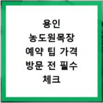 용인 농도원목장 예약 팁 가격 방문 전 필수 체크
