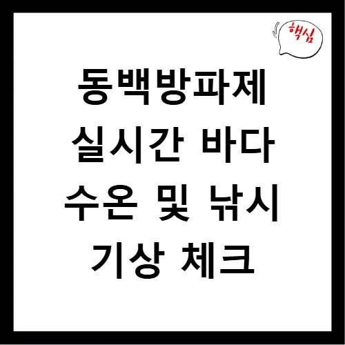 동백방파제 실시간 바다 수온 및 낚시 기상 체크