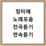 정미애 노래모음 전곡듣기 연속듣기