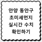 안양 동안구 초미세먼지 실시간 수치 확인하기