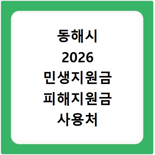 동해시 2026 민생지원금 피해지원금 사용처 총정리