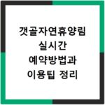 갯골자연휴양림 실시간 예약방법과 이용팁 정리