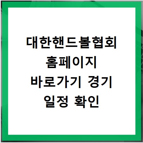 대한핸드볼협회 홈페이지 바로가기 경기 일정 확인