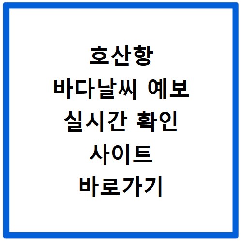 호산항 바다날씨 예보 실시간 확인 사이트 바로가기