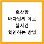 호산항 바다날씨 예보 실시간 확인하는 방법