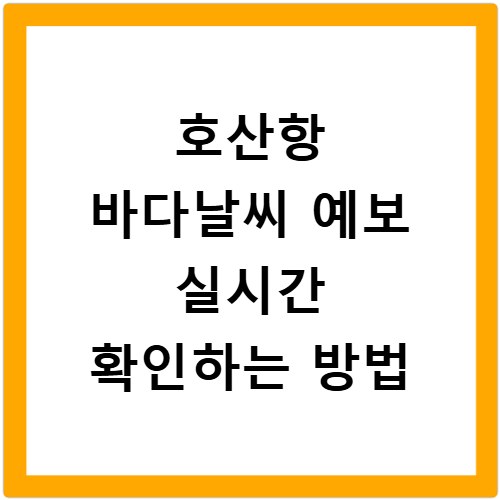호산항 바다날씨 예보 실시간 확인하는 방법