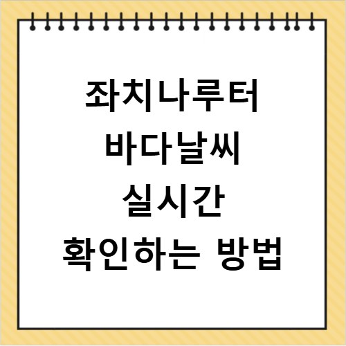 좌치나루터 바다날씨 실시간 확인하는 방법