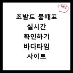 조발도 물때표 실시간 확인하기 바다타임 사이트 바로가기
