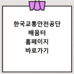 한국교통안전공단 배움터 홈페이지 바로가기