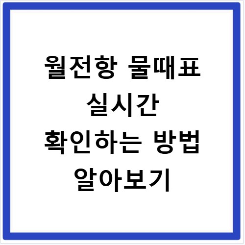 월전항 물때표 실시간 확인하는 방법 알아보기