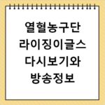 열혈농구단 라이징이글스 다시보기와 방송정보