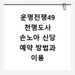 운명전쟁49 천명도사 손노아 신당 예약 방법과 이용 정보
