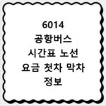 6014 공항버스 시간표 노선 요금 첫차 막차 정보 한눈에 확인하기