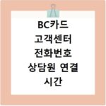 BC카드 고객센터 전화번호 상담원 연결 시간 및 빠르게 통화하는 방법 정리