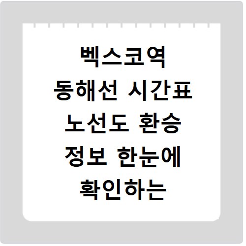 벡스코역 동해선 시간표 노선도 환승 정보 한눈에 확인하는 방법