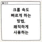 크롬 속도 빠르게 하는 방법, 쾌적하게 사용하는 설정