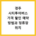 경주 시티투어버스 가격 할인 예약 방법과 정류장 위치 총정리