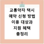 교통약자 택시 예약 신청 방법 이용 대상과 지원 혜택 총정리