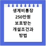 생계비통장 250만원 보호받는 개설조건과 방법 알아보기