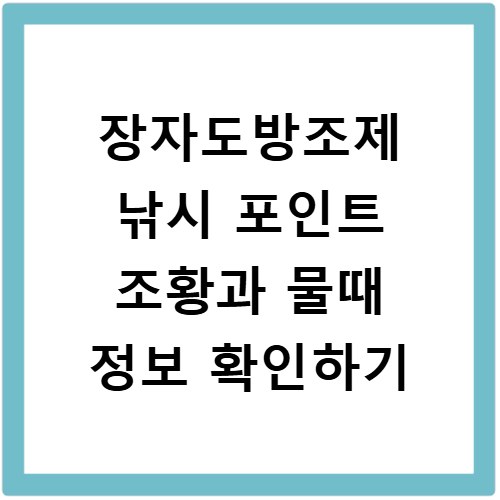 장자도방조제 낚시 포인트 조황과 물때 정보 확인하기