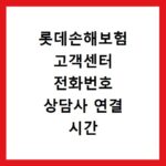 롯데손해보험 고객센터 전화번호 상담사 연결 시간 및 점심시간 정보 정리