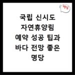 국립 신시도 자연휴양림 예약 성공 팁과 바다 전망 좋은 명당 숙소 고르는 법