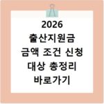2026 출산지원금 금액 조건 신청 대상 총정리 바로가기