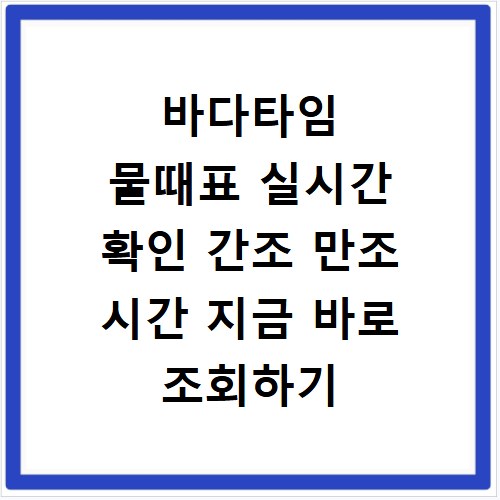 바다타임 물때표 실시간 확인 간조 만조 시간 지금 바로 조회하기