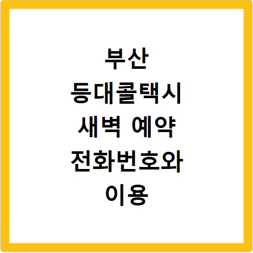 부산 등대콜택시 새벽 예약 전화번호와 이용 꿀팁 총정리