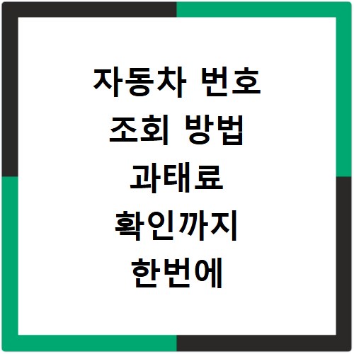 자동차 번호 조회 방법 과태료 확인까지 한번에 해결해요
