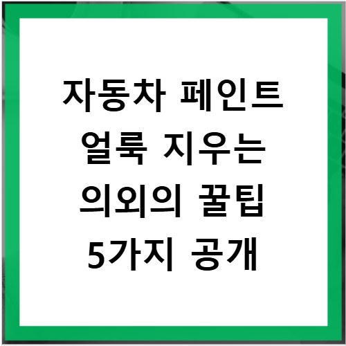 자동차 페인트 얼룩 지우는 의외의 꿀팁 5가지 공개