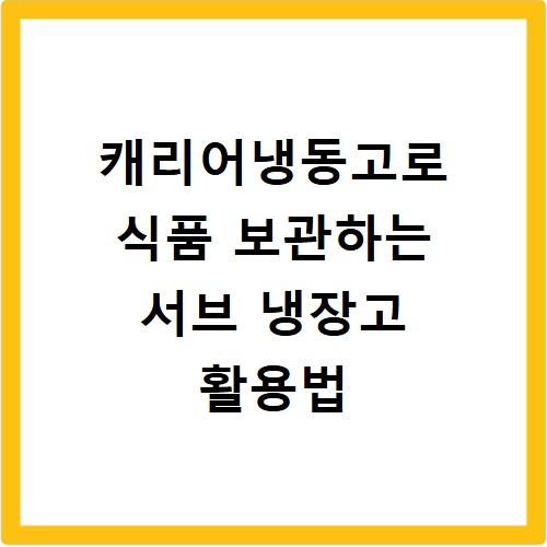 캐리어냉동고로 식품 보관하는 서브 냉장고 활용법