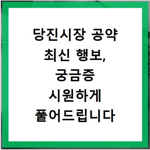 당진시장 공약 최신 행보, 궁금증 시원하게 풀어드립니다