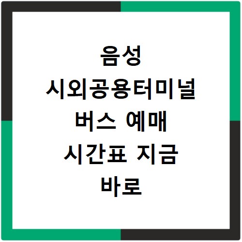 음성 시외공용터미널 버스 예매 시간표 지금 바로 확인하세요