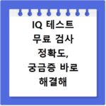 IQ 테스트 무료 검사 정확도, 궁금증 바로 해결해 드립니다