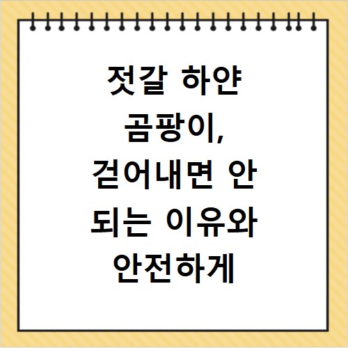 젓갈 하얀 곰팡이, 걷어내면 안 되는 이유와 안전하게 먹는 법